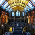 自然历史博物馆--在伦敦的免费活动