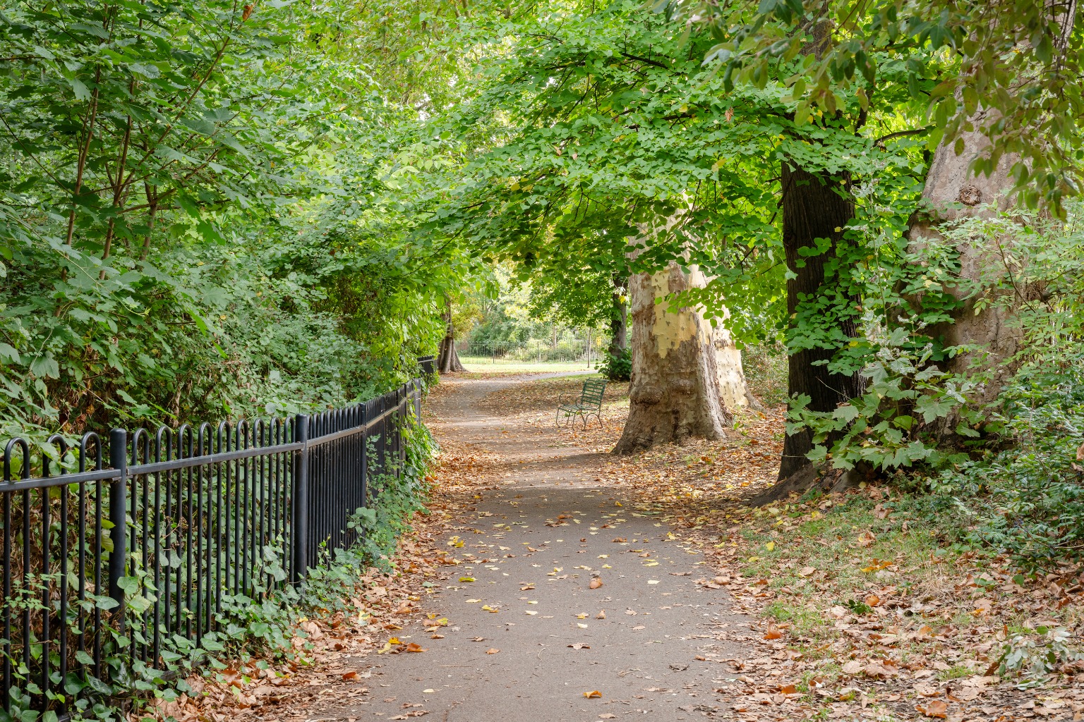5 Bedroom Semi-Detached, Elmwood Road SE24