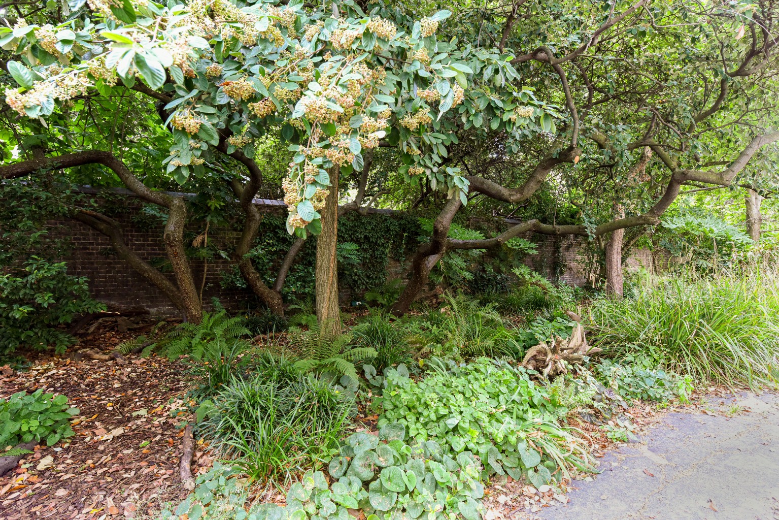 2 Bedroom Flat, Ridgmount Gardens, Bloomsbury, London, WC1E